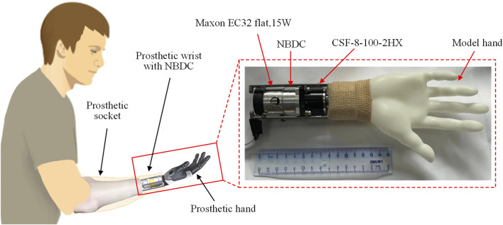 FIGURE 14