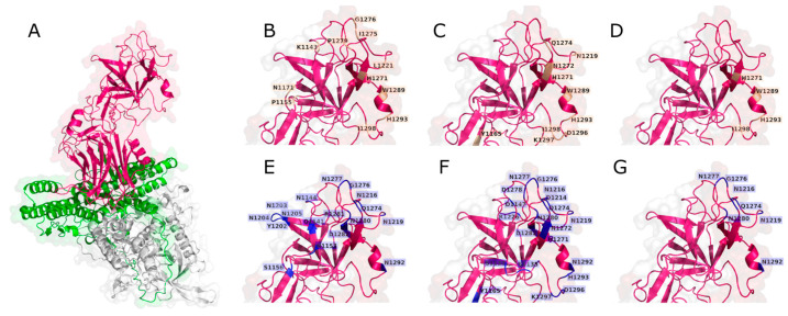 Figure 7