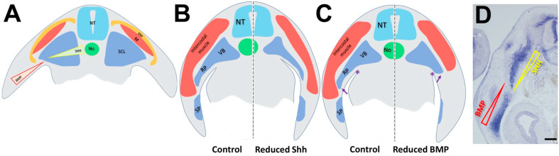 Figure 9