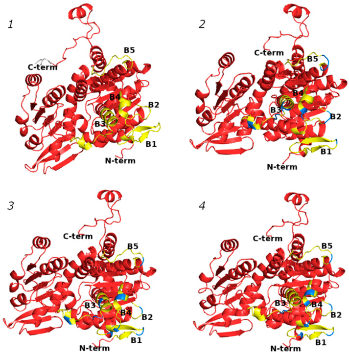 Figure 6