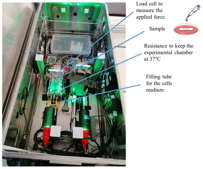 Figure 13