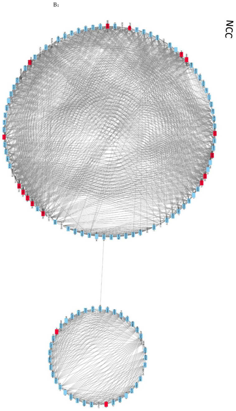 Figure 8