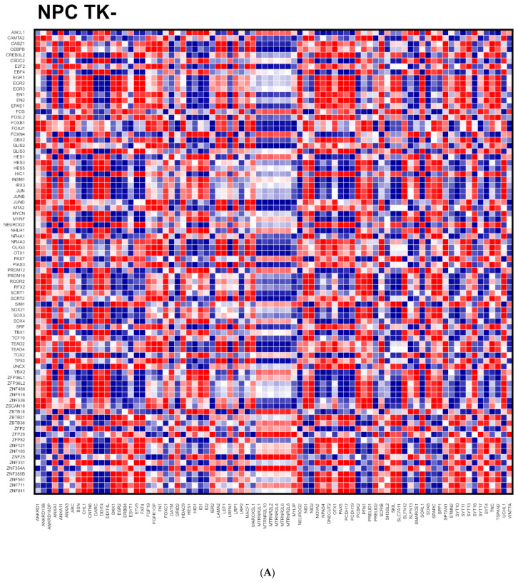 Figure 20