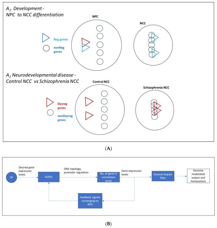 Figure 24