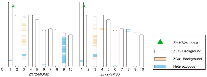 Figure 6