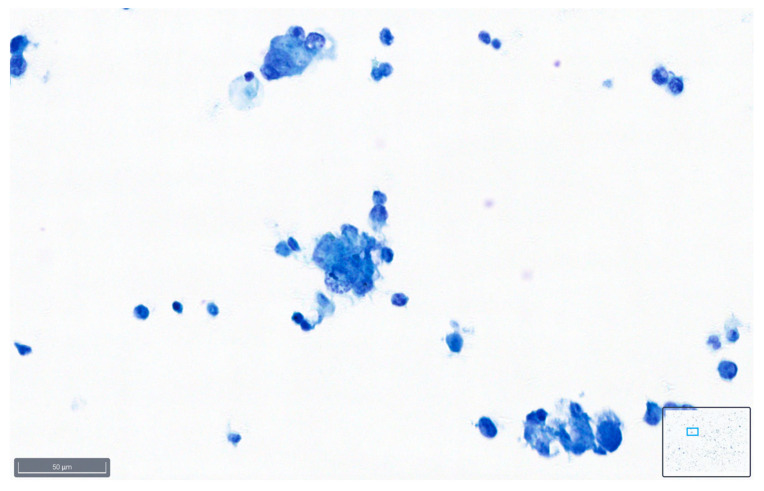 Figure 9