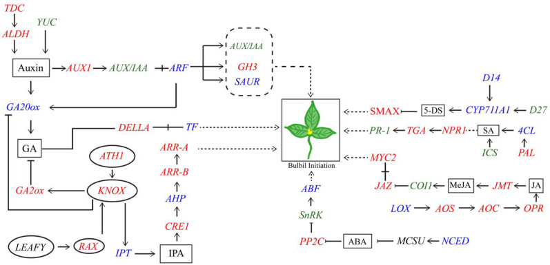 Figure 9