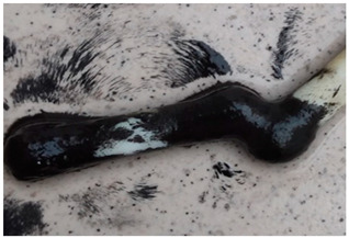 Figure 12