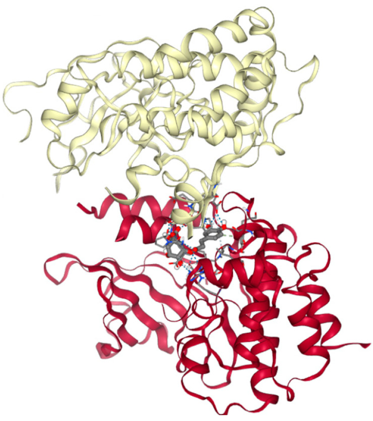 Figure 5