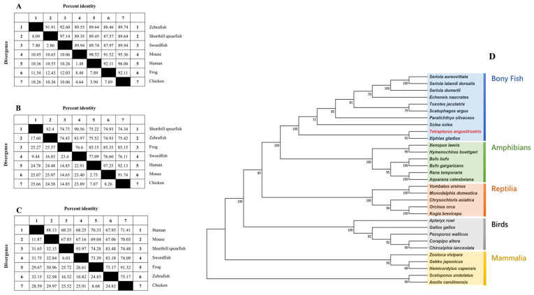 Figure 7