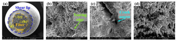 Figure 13