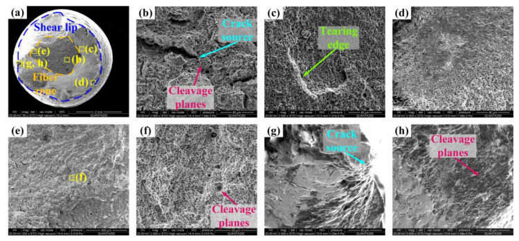 Figure 17