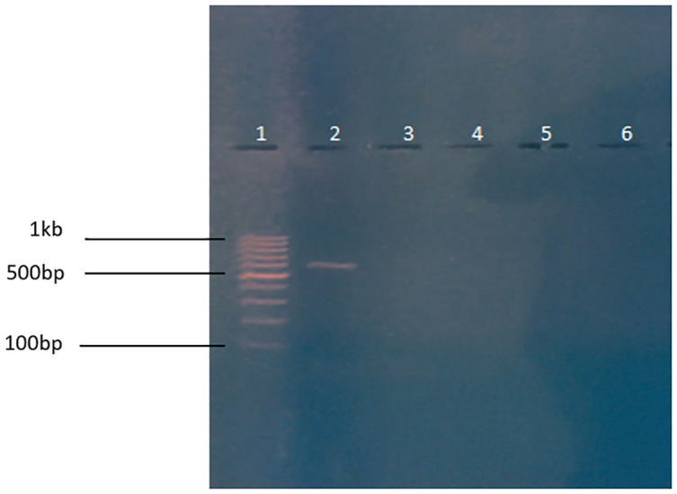 Figure 7