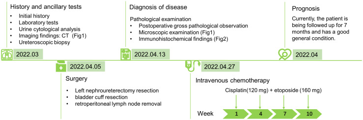 Figure 3