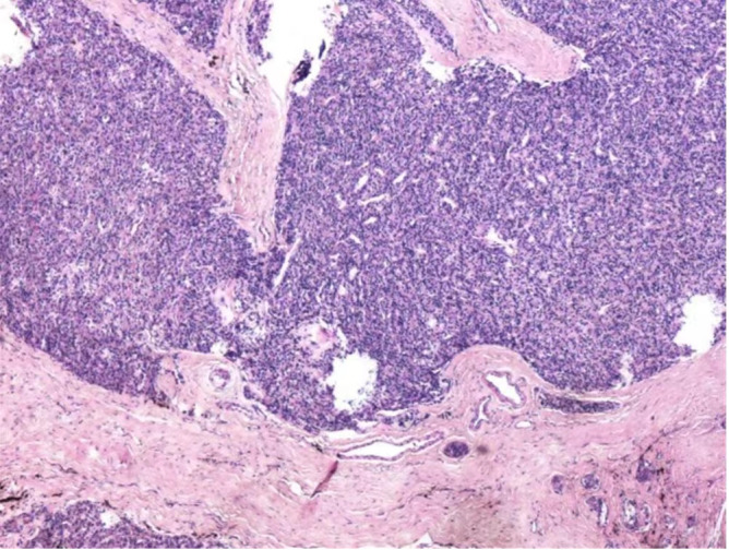 Figure 5