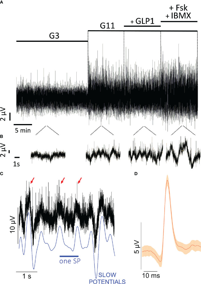 Figure 2