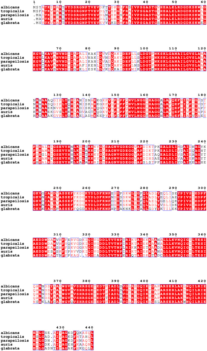 Figure 2