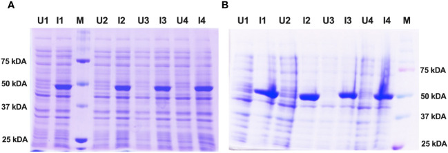 Figure 3
