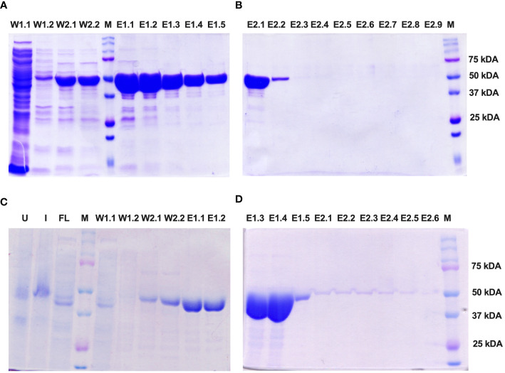 Figure 4
