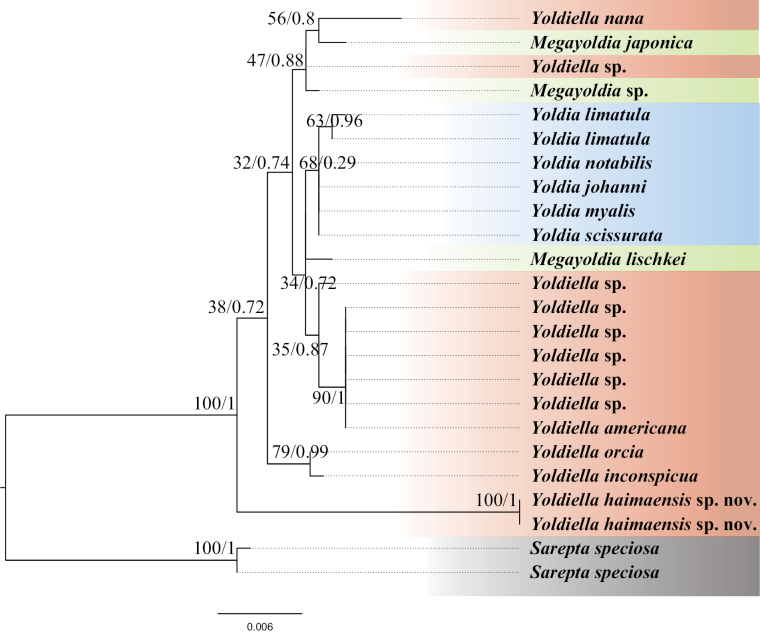 Figure 6