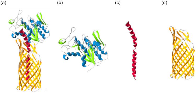 Figure 2