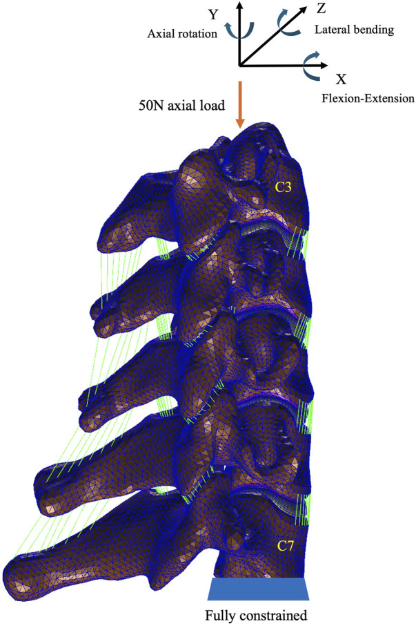 FIGURE 3