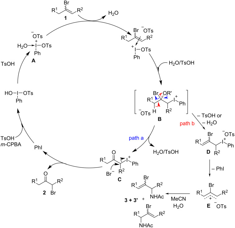 Scheme 3