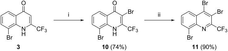 Scheme 5