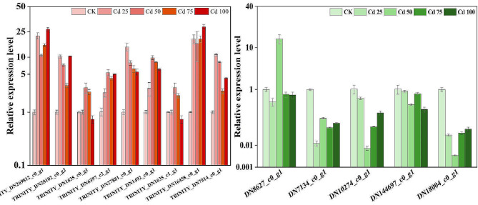 Figure 7