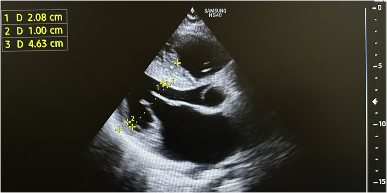 Figure 7