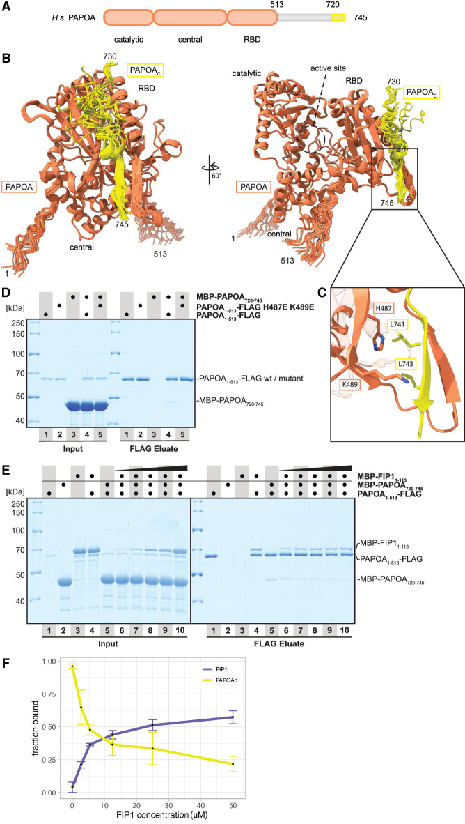 FIGURE 2