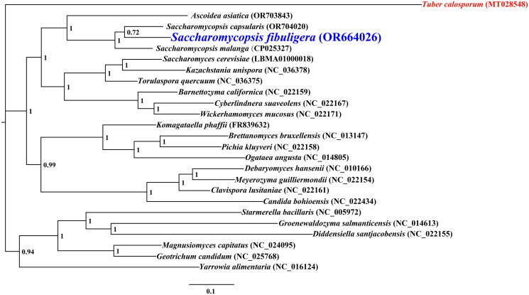 Figure 3