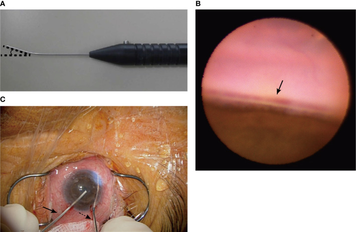 Figure 2