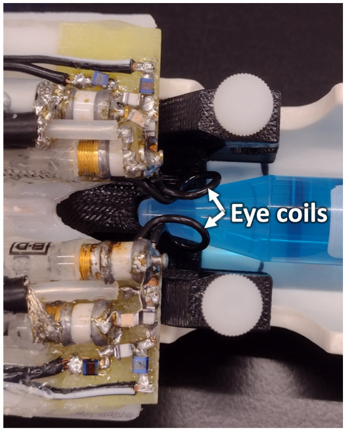 Figure 1