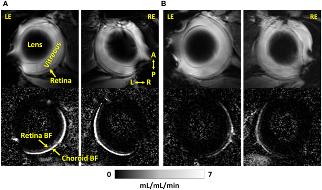 Figure 4