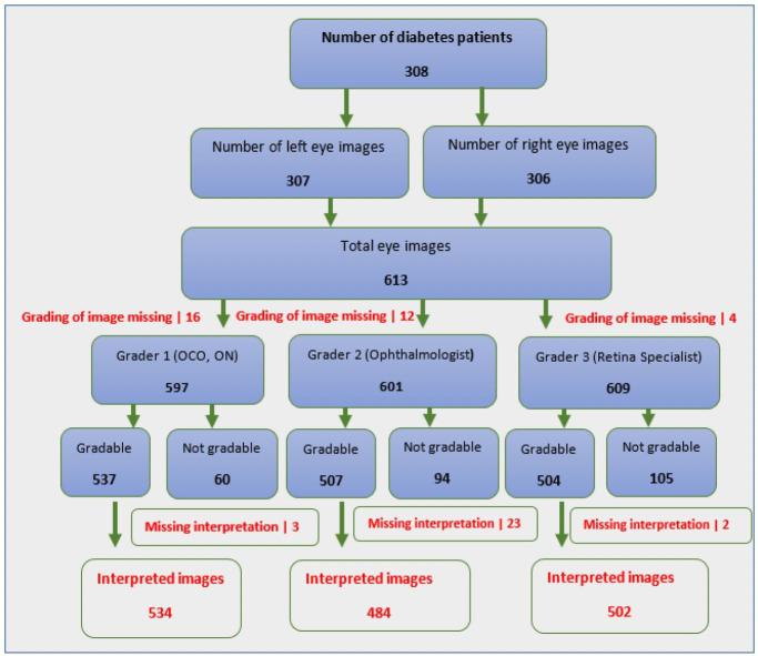 Figure 1