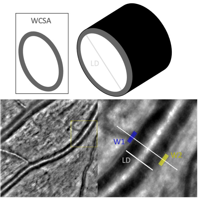 Figure 1