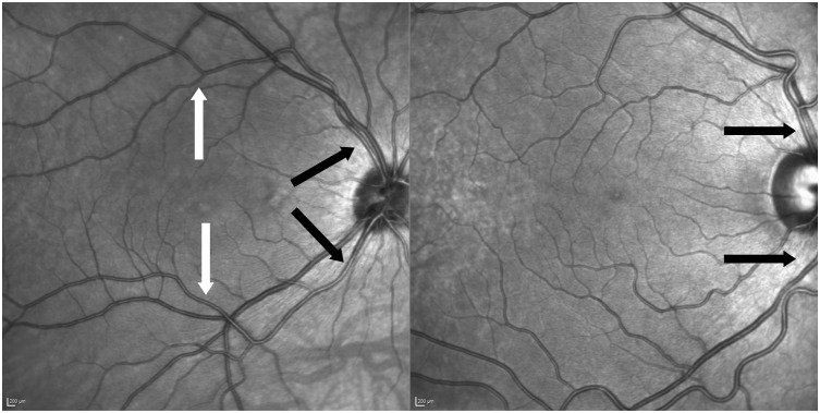Figure 2