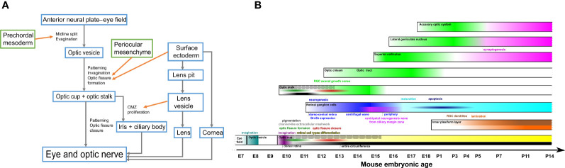 Figure 1