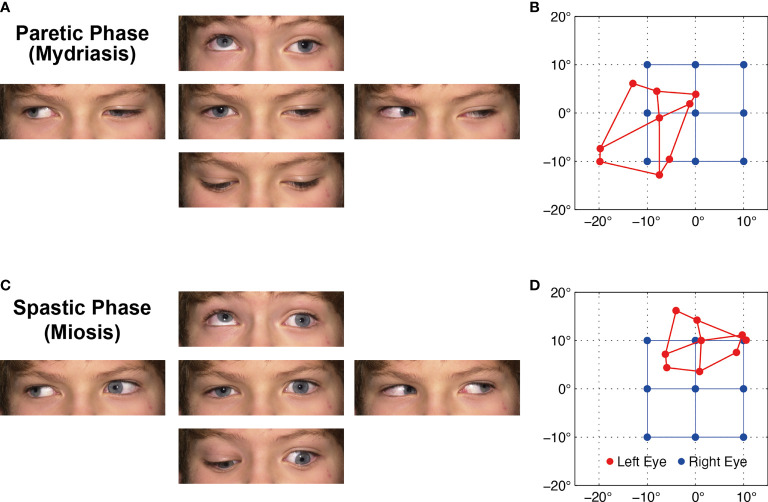 Figure 1