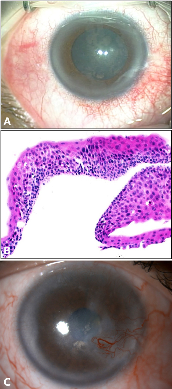 Figure 1