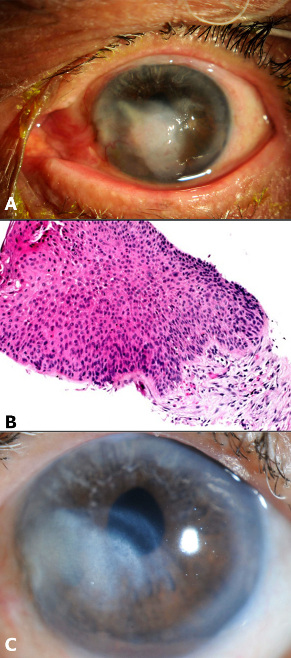 Figure 2