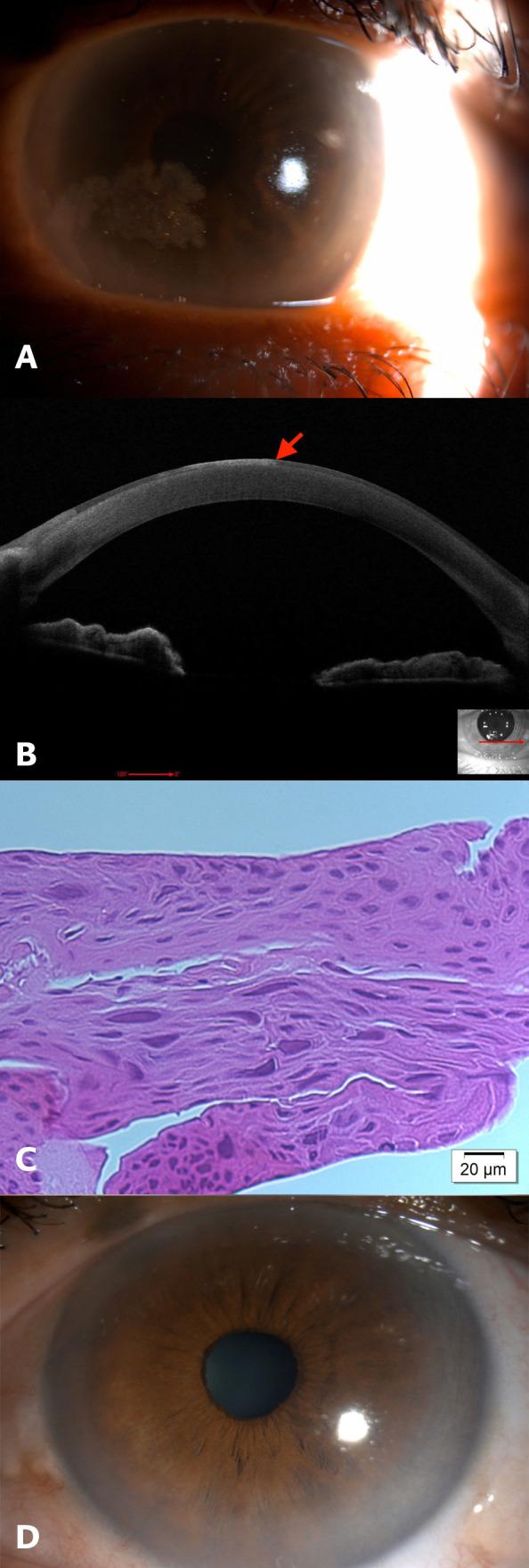 Figure 3