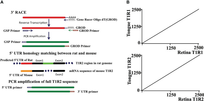 Figure 2