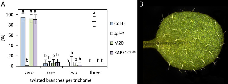 Fig 5