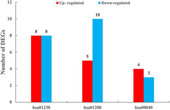 Figure 7