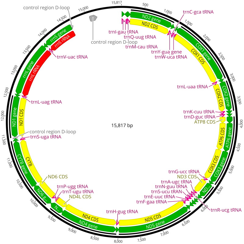 Figure 2