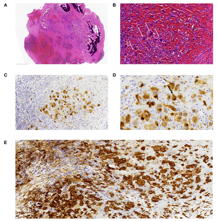 Figure 3