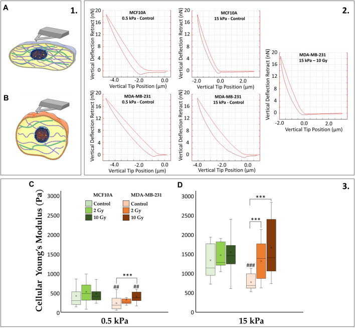 FIGURE 4