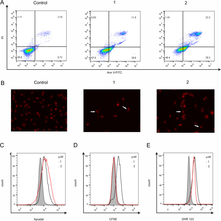 Fig. 2